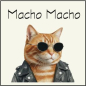 Preview: Macho Macho