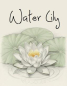 Preview: Water Lily
