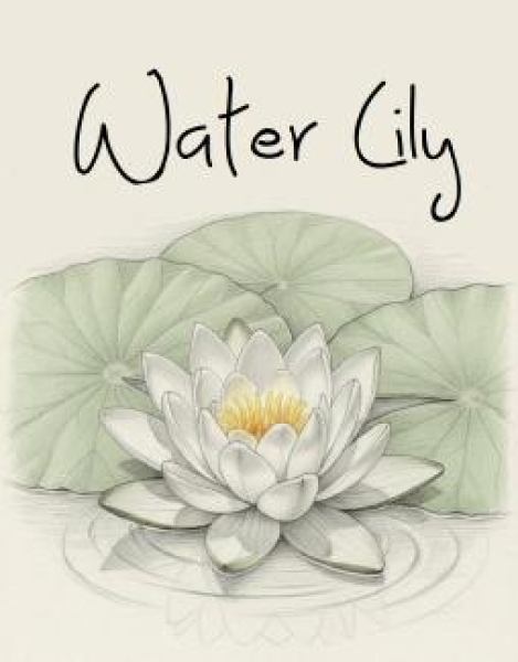 Water Lily